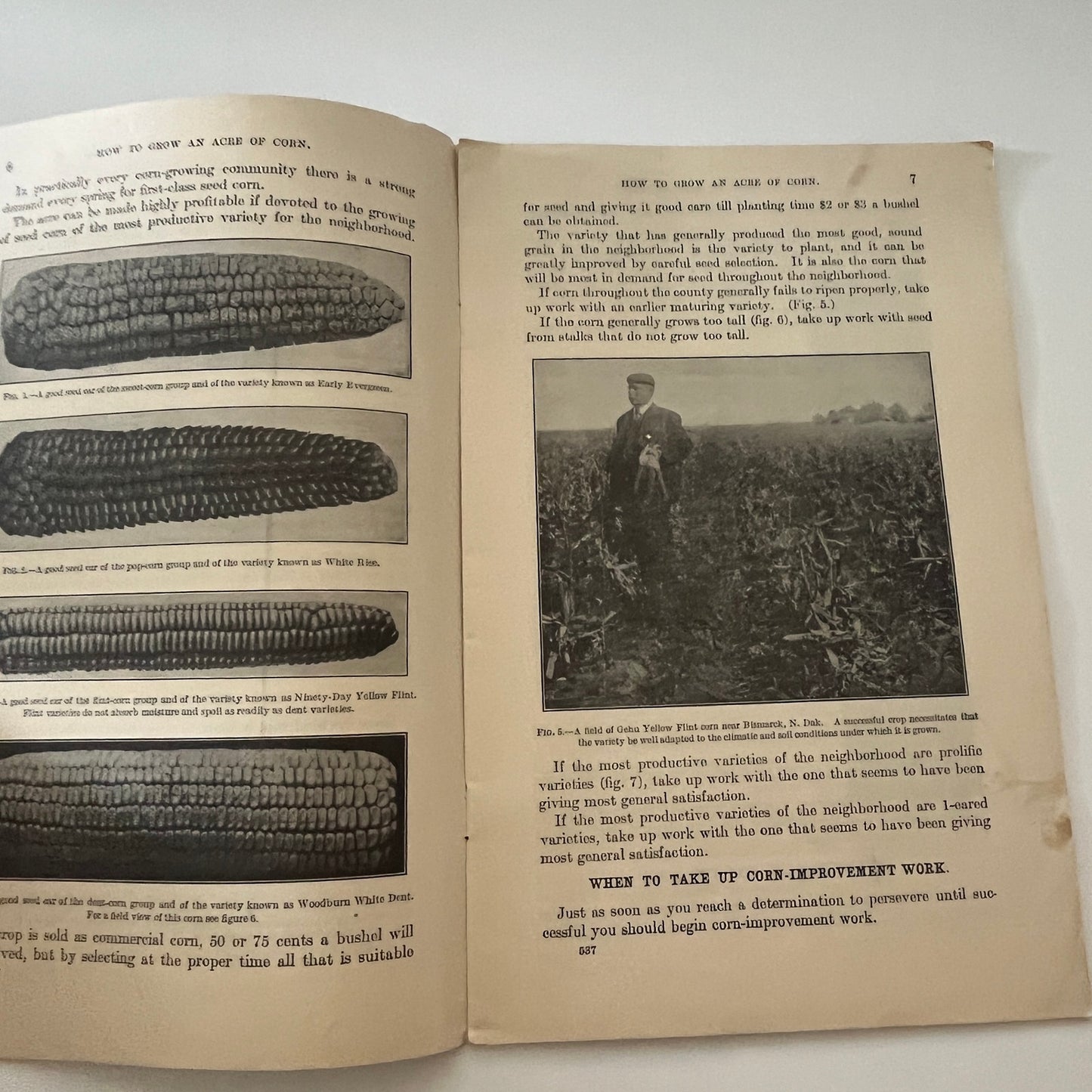 How to Grow an Acre of Corn C.P. Hartley 1915 USDA Farm Bulletin Booklet TK2-XB4