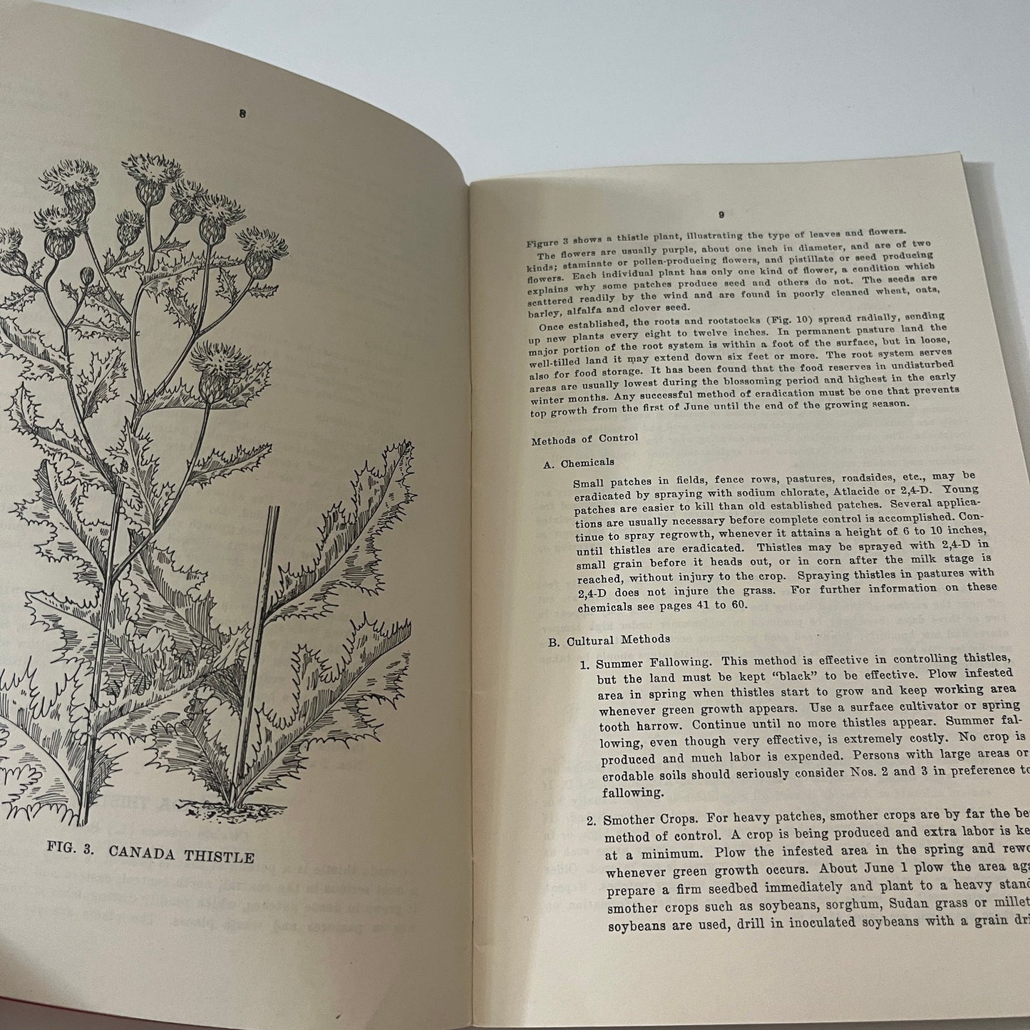 Noxious Weeds Iowa Dept of Agriculture 1951 Farming Booklet TK2-XB1