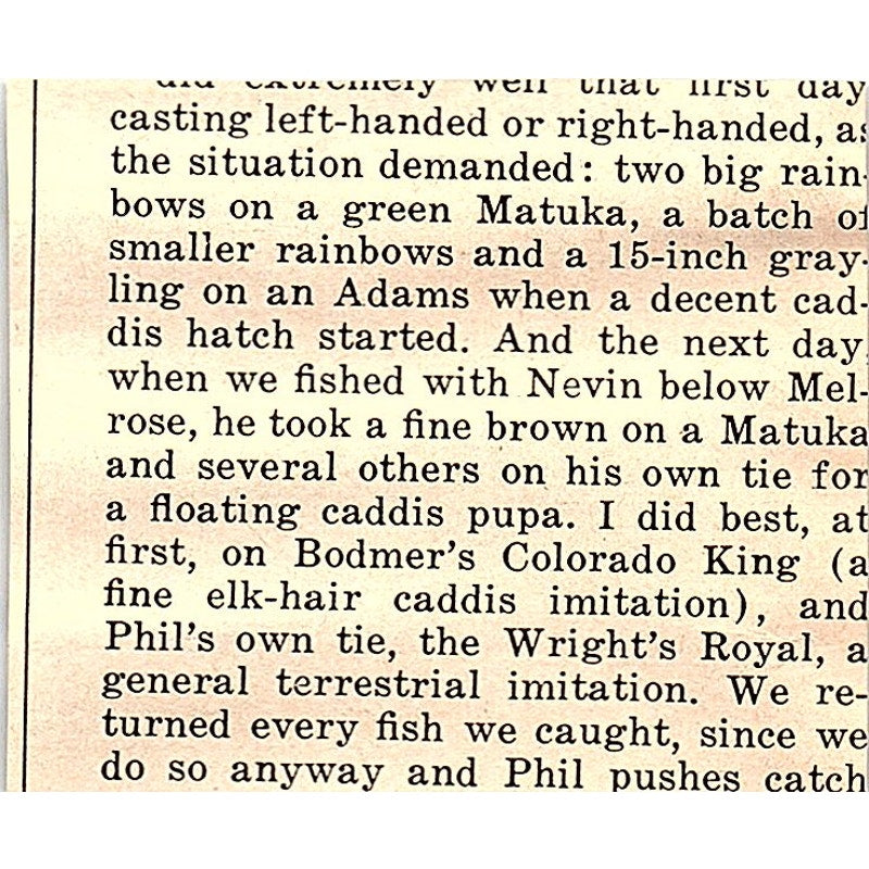 Top Value Dog Supplies Lewis Mfg Co Howell MI 1977 Ad AF6-M2