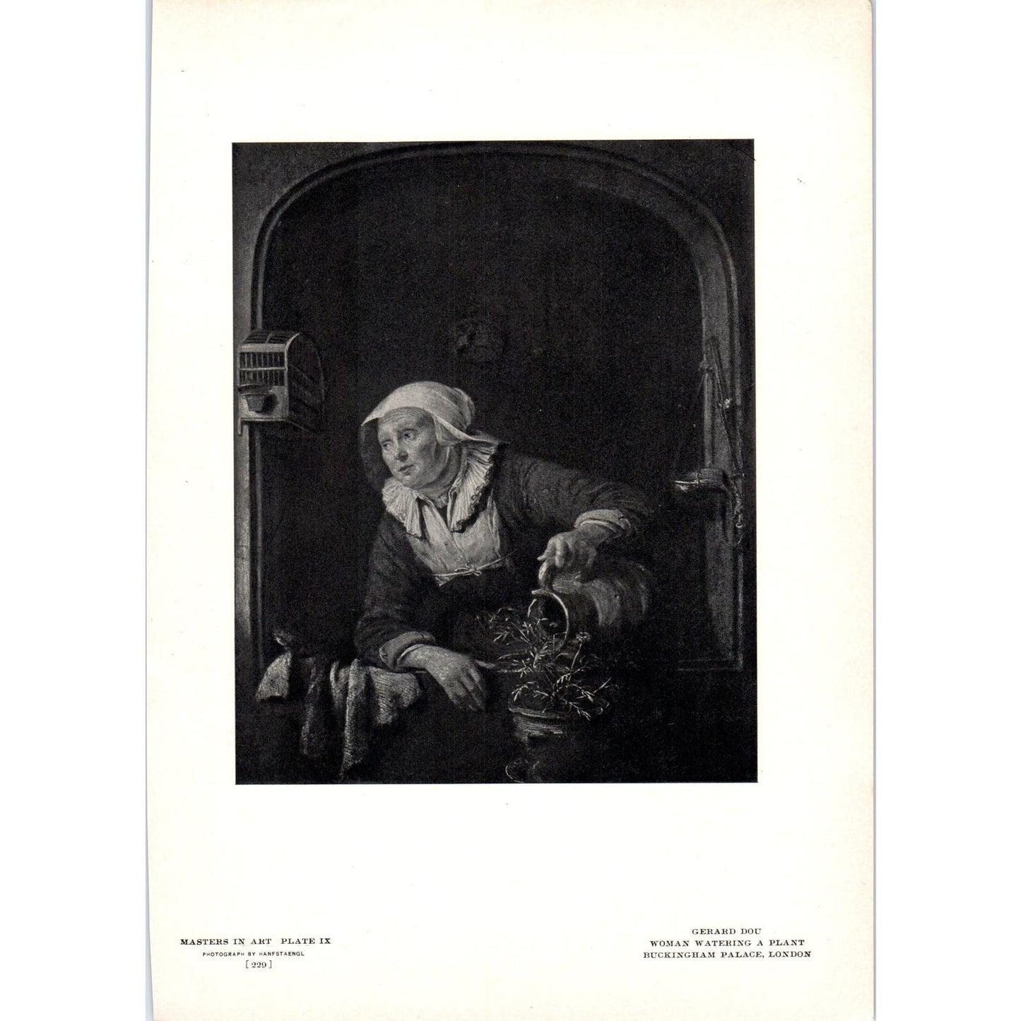 Woman Watering a Plant - Gerard Dou c1905 Art Print D15