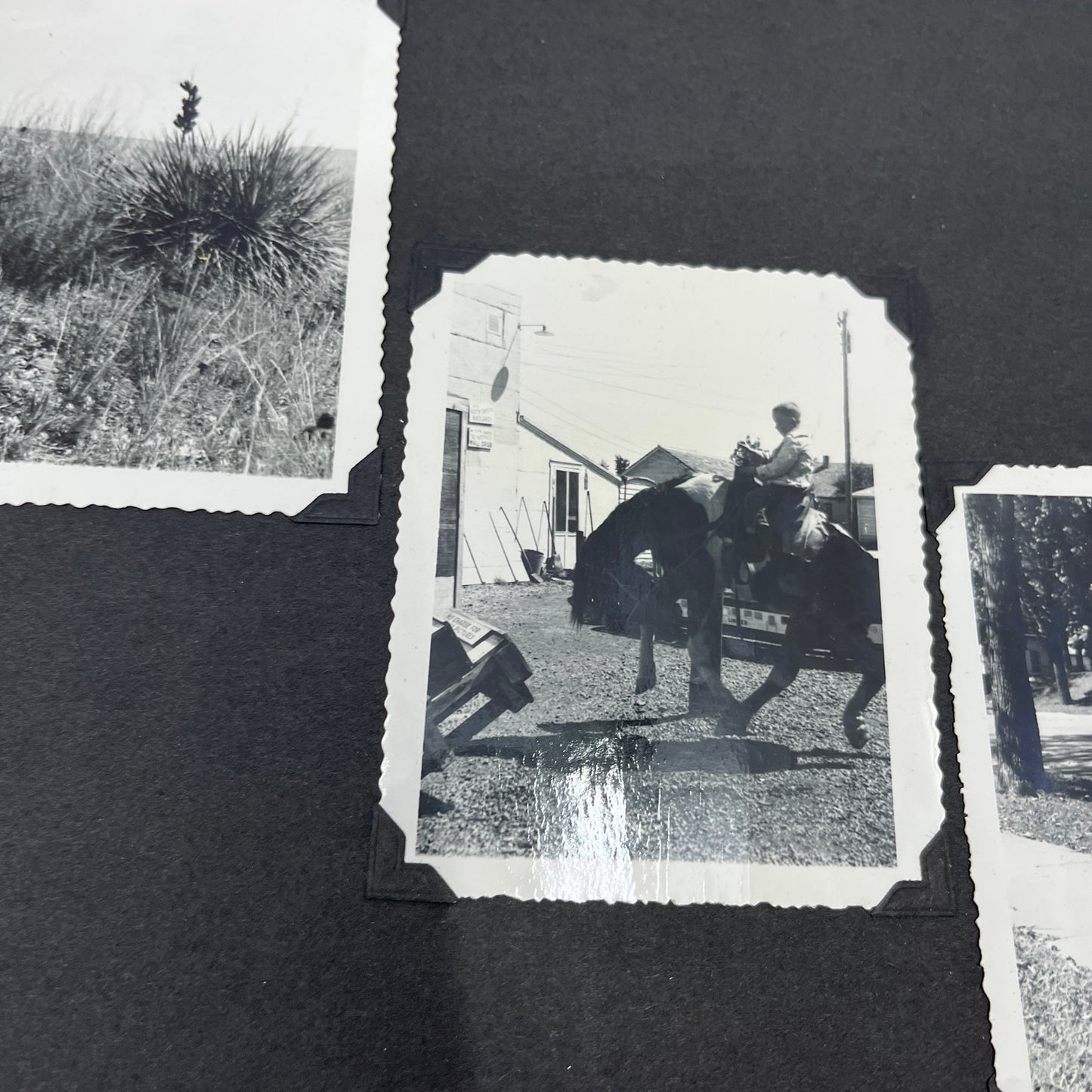1940s-50s Post WWII Loaded Photo Album Postwar Eurpoe Family Life TG7