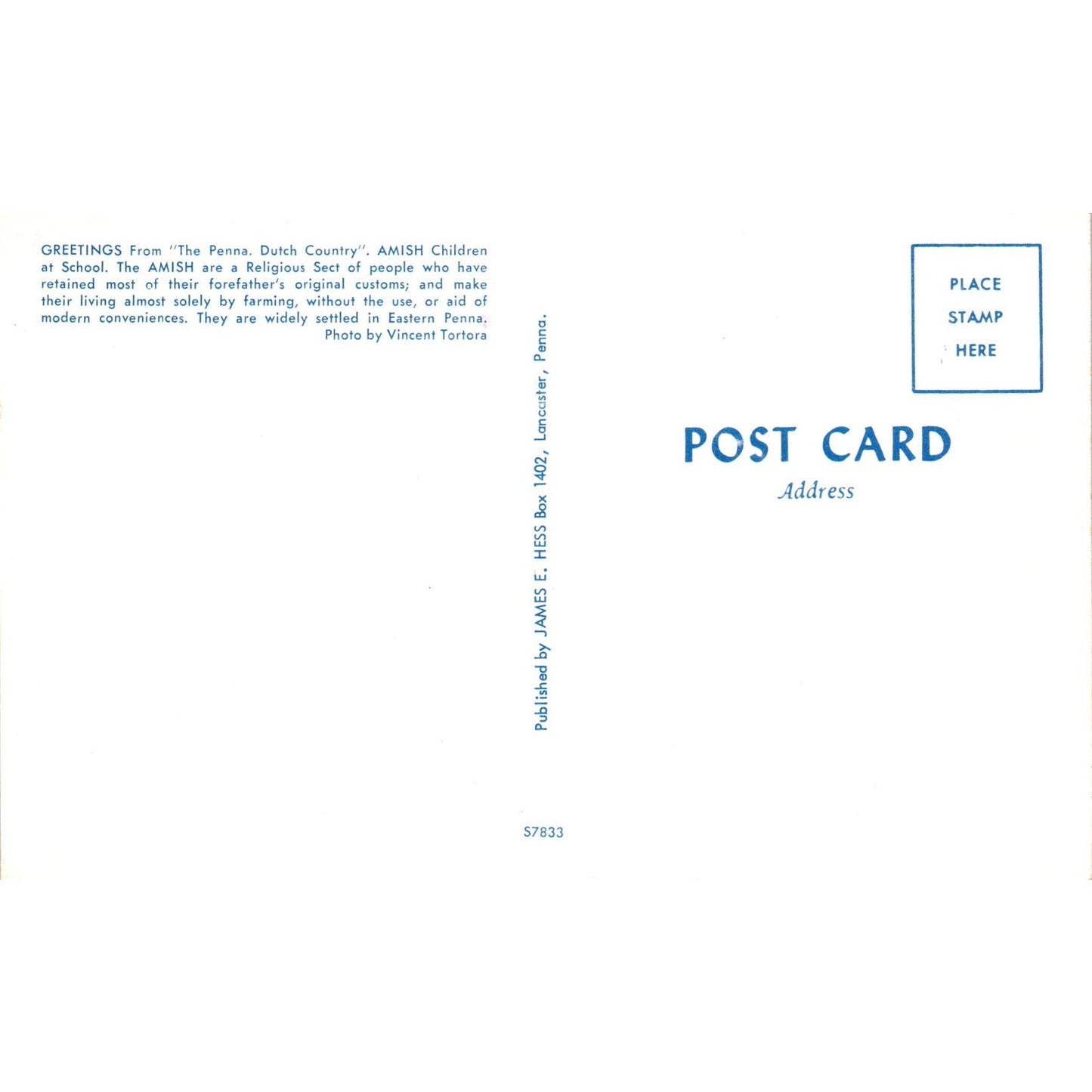 Amish Children on Chalkboard at School Pennsylvania Dutch Country Postcard PD8