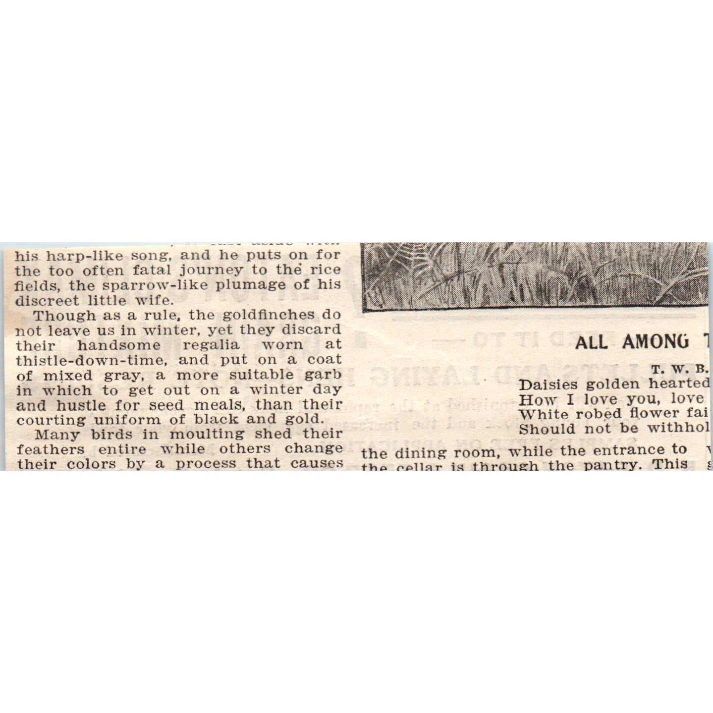 R.D. Eaton Grain & Feed Co Norwich NY 1905 Magazine Ad AF1-NH1