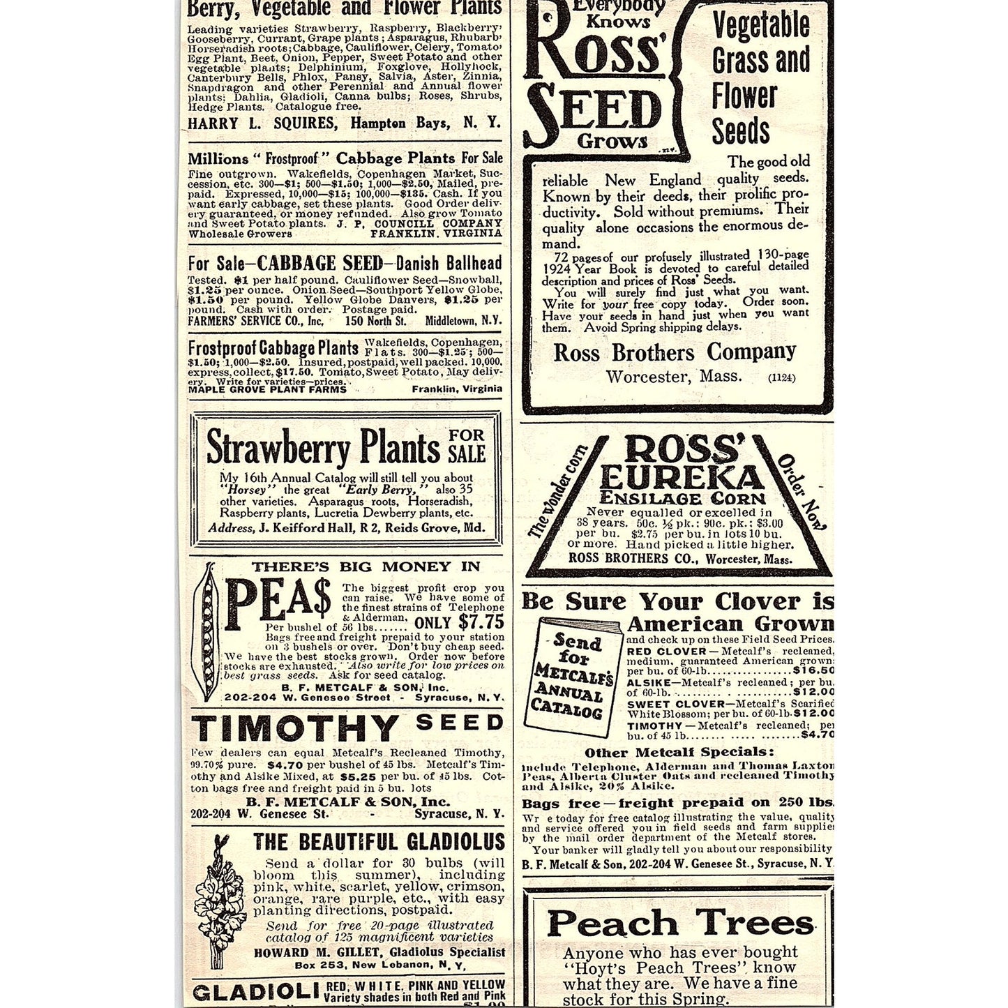 McQuay-Norris Piston Rings St. Louis MO 1924 Ad AG3-4