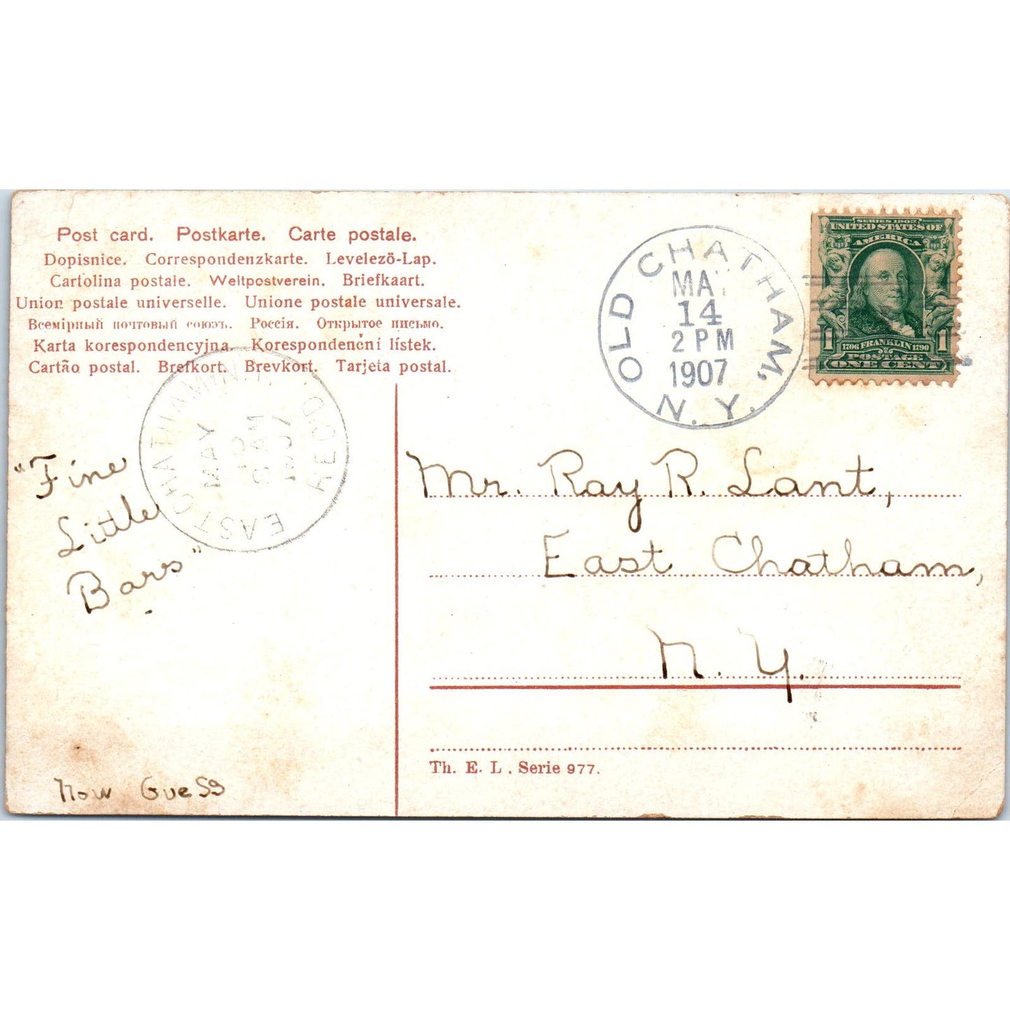 Saint Bernard Puppy Dog Illustration c1907 Postcard PD2