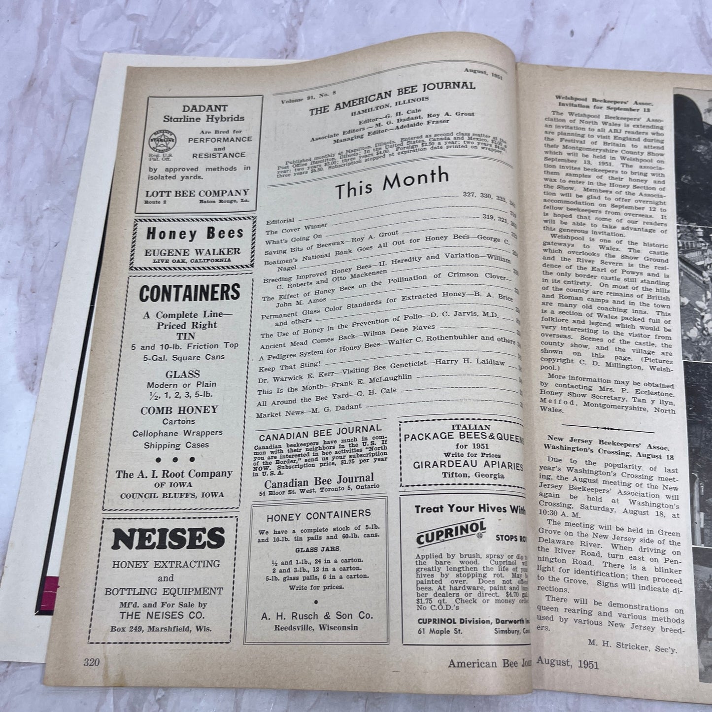 1951 Aug - American Bee Journal - Bees Beekeeping Honey M32