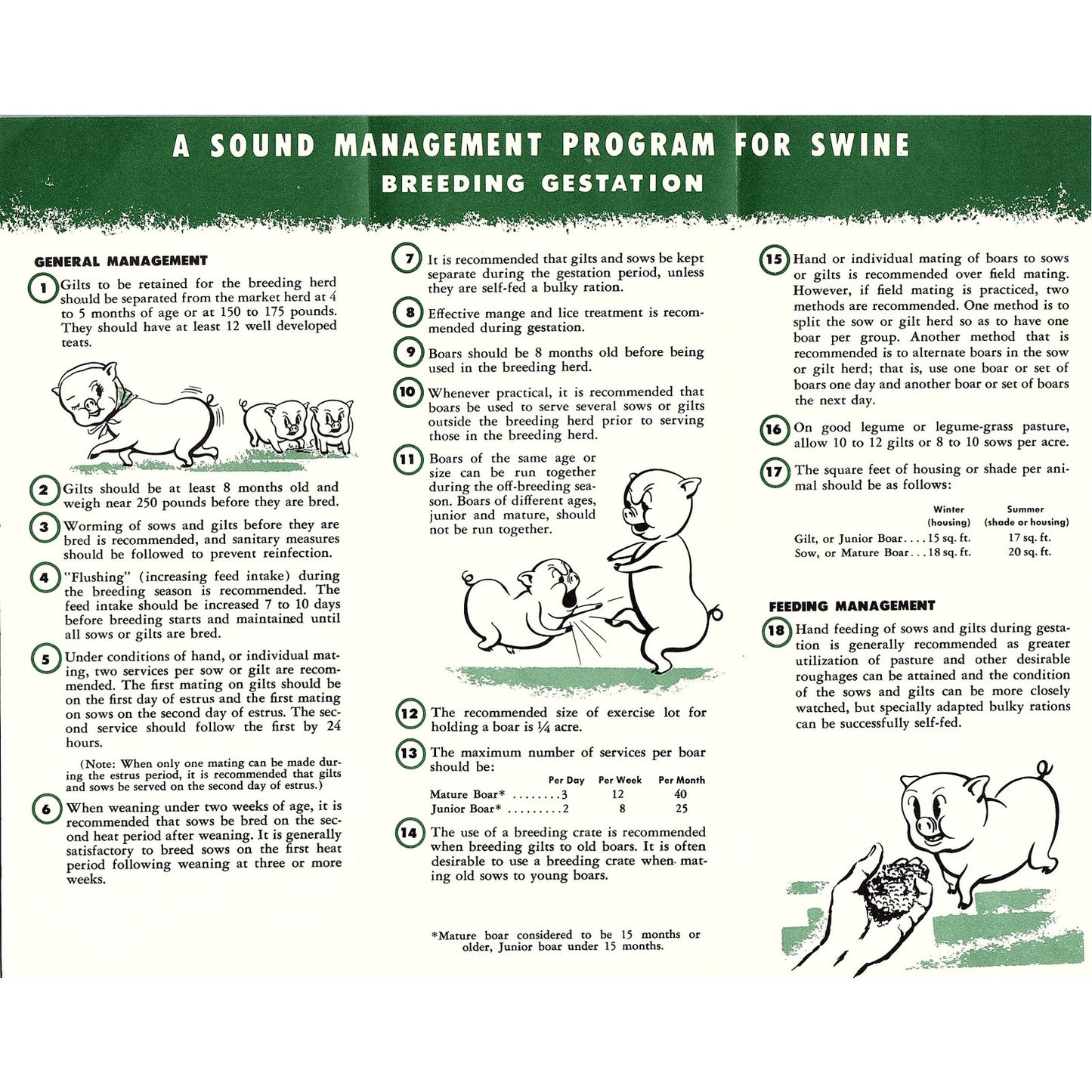 23 Management Solutions for Swine Breeding-Gestation Vintage Brochure AG5-H3