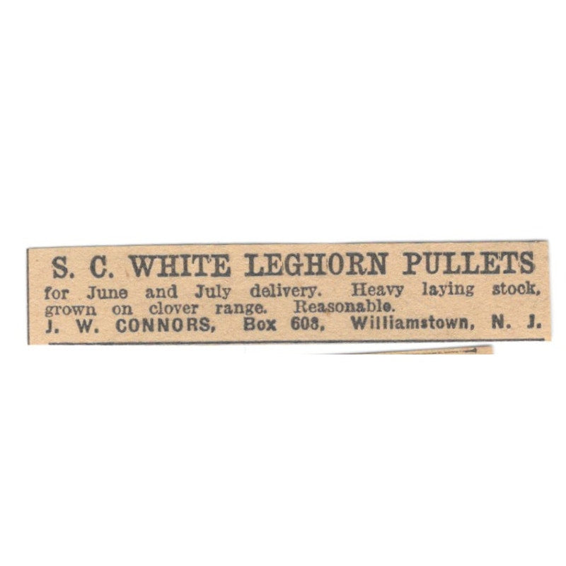 J.W. Connors S.C. White Leghorn Pullets Williamstown NJ 1922 Magazine Ad AF2-T4