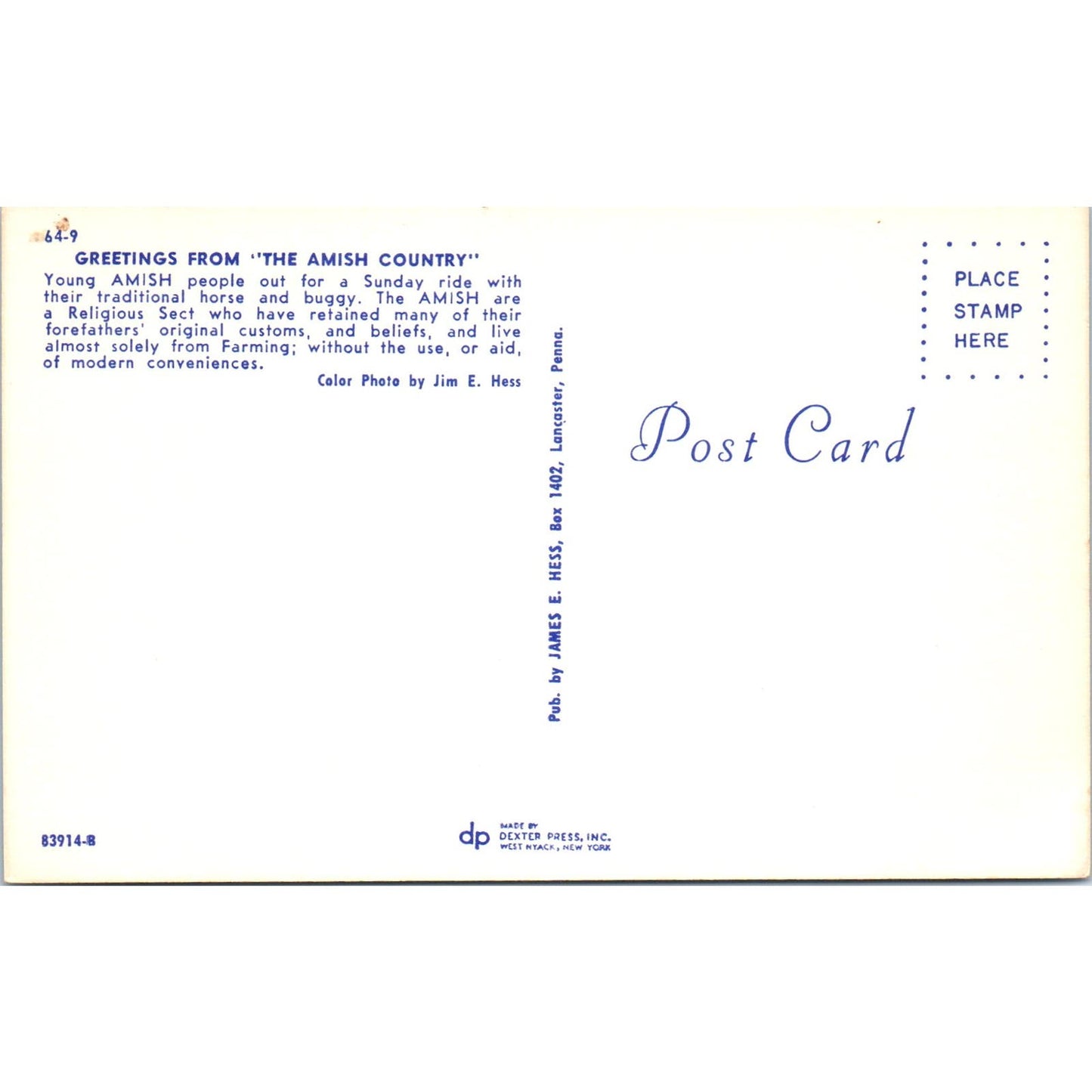 Young Amish People on a Buggy Ride Pennsylvania Dutch Country Postcard PD8