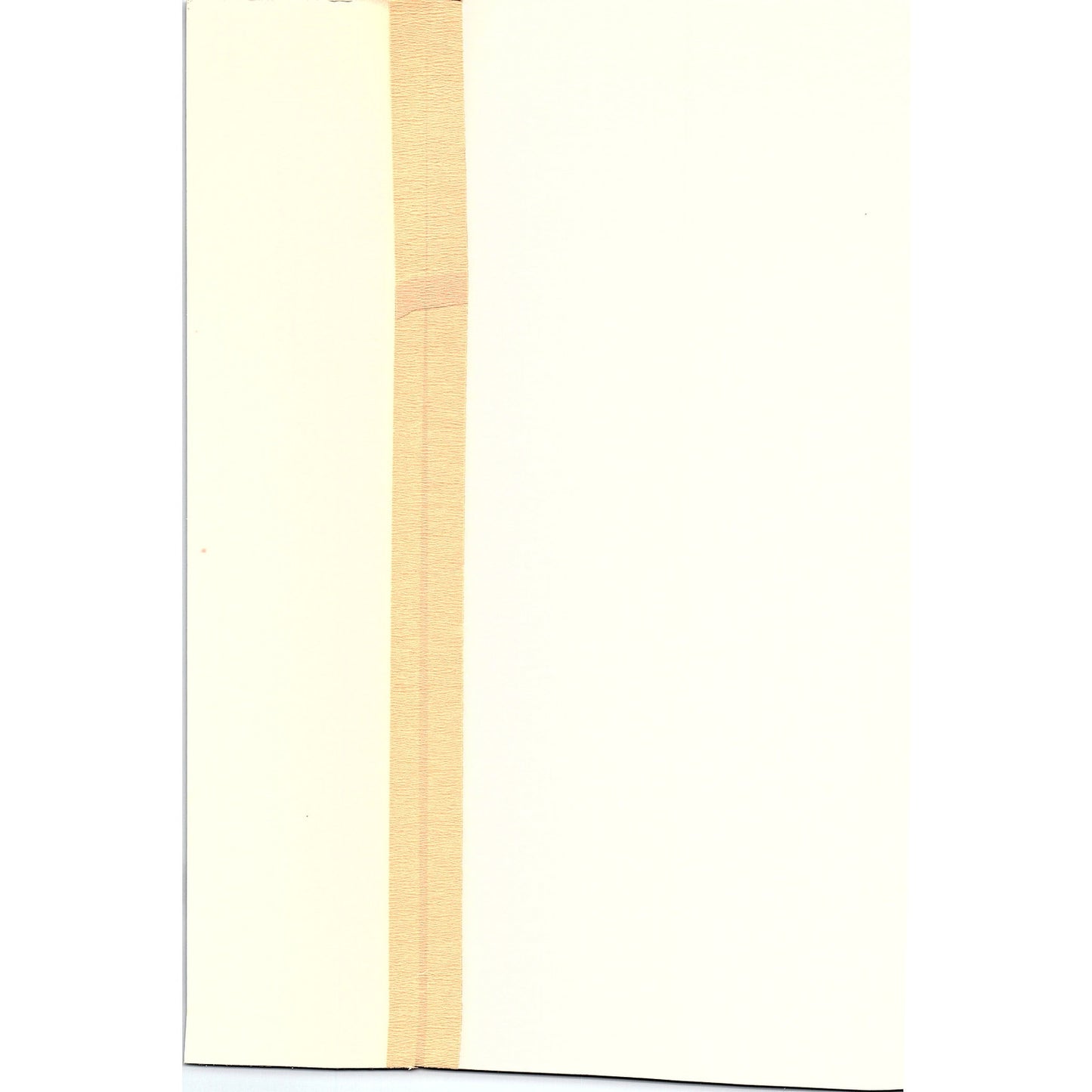 Church of the Assumption Saint Paul MN Francis R Meisch Vtg Art Print 7x10 V6