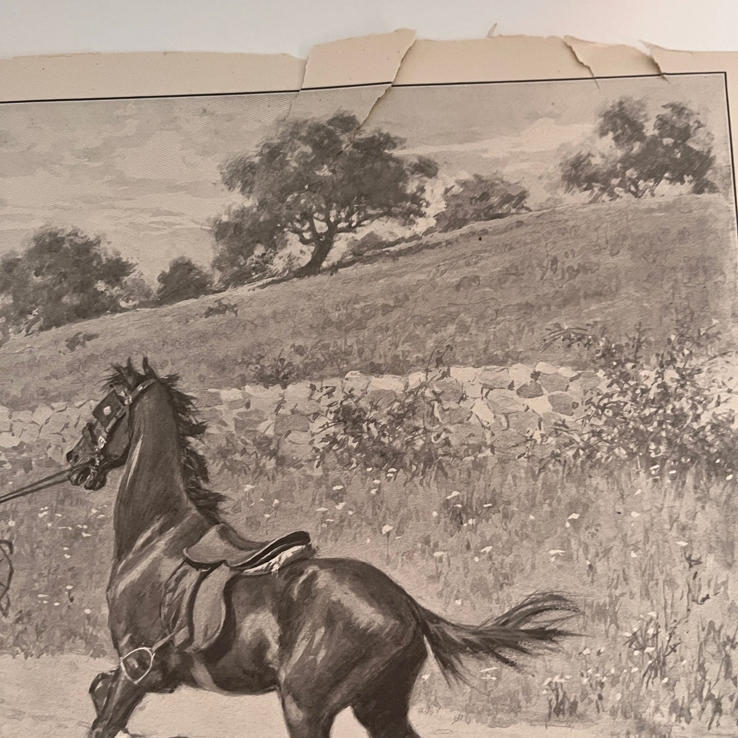 Woah There - Man With Horse Scene - Original 1904 A.B. Frost Art Print V26-4