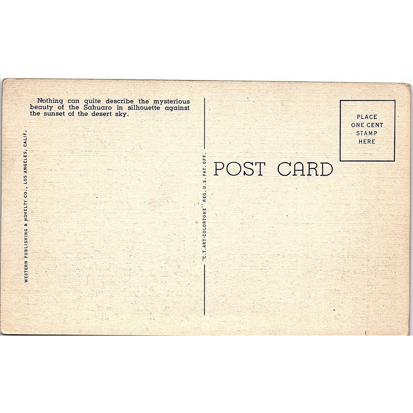 Sentinels of the Desert, Giant Cactus (Sahuaro) Vintage Postcard PE17