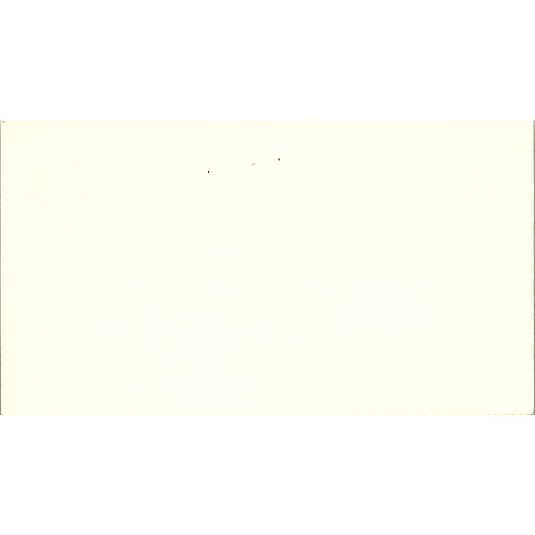 Mary Ann Taylor Charlie Thomas Chrysler Plymouth Houston Business Card SD9-B6