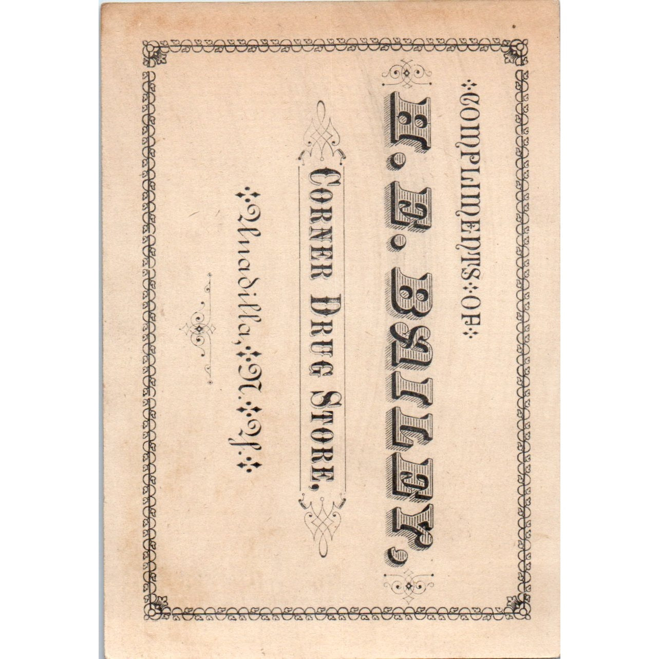 H.E. Bailey Drug Store Unadilla NY Man and Dog Hunting c1880 Trade Card AF1-AP8