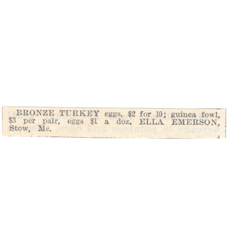 Bronze Turkey Eggs Ella Emerson Stow ME 1905 Magazine Ad AF1-NES2