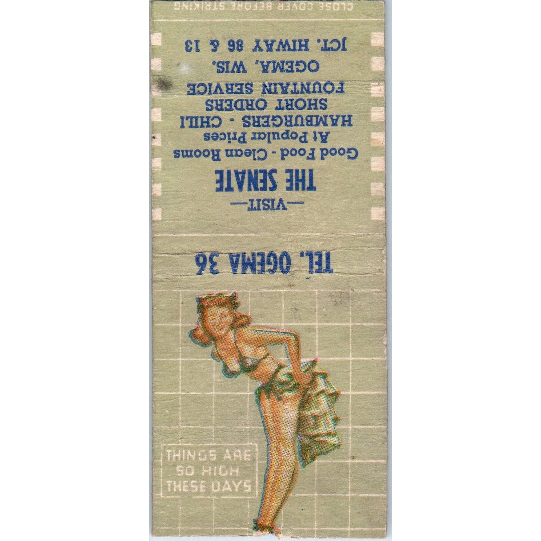 The Senate Omega Wisconsin Pinup Vintage Matchbook Cover SD4-Y14