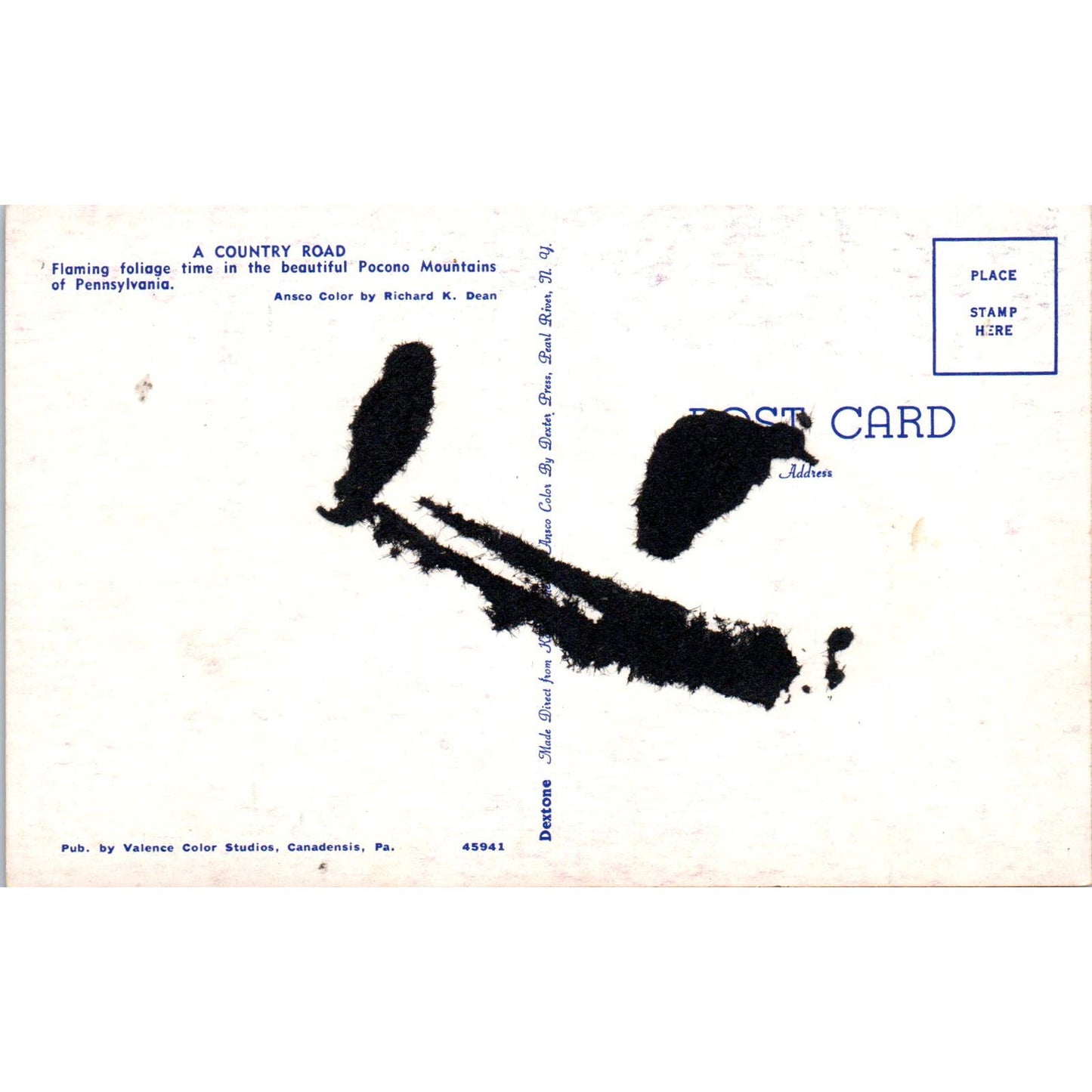 Pocono Mountains Foliage Pennsylvania Dutch Country Postcard PD7