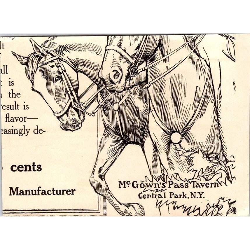 The Walborn & Riker Company Governess Car Saint Paris OH Ad 4x5.5" AI9-H4