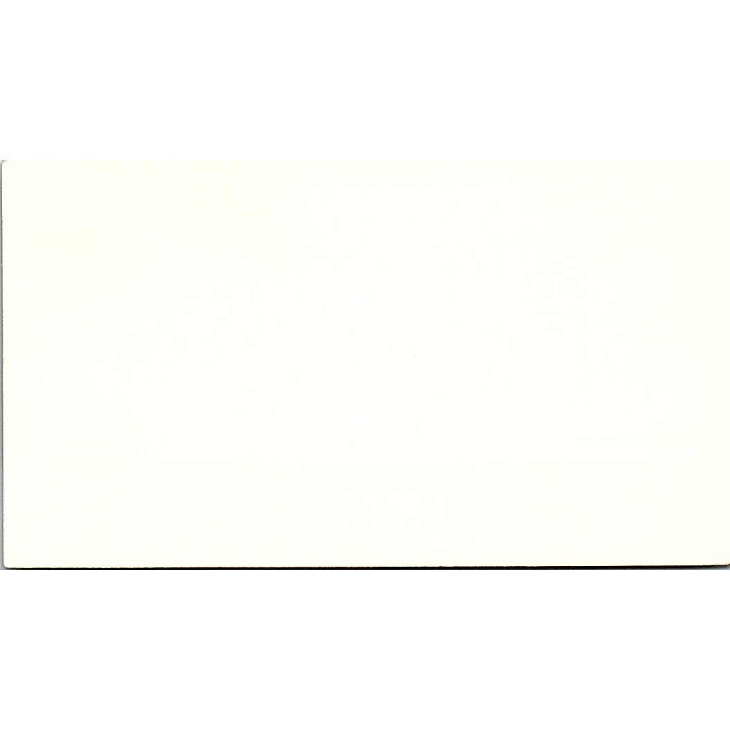 Thomas J Davidson Sea-Land Service Inc Houston Vintage Business Card SC9-B4