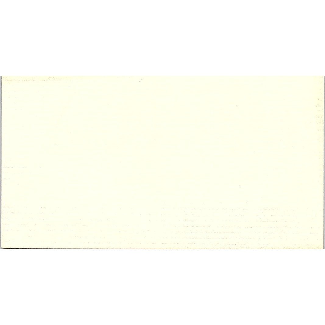 Chris Runningen Domestic Automotive Specialties Long Beach Business Card SE3-B14