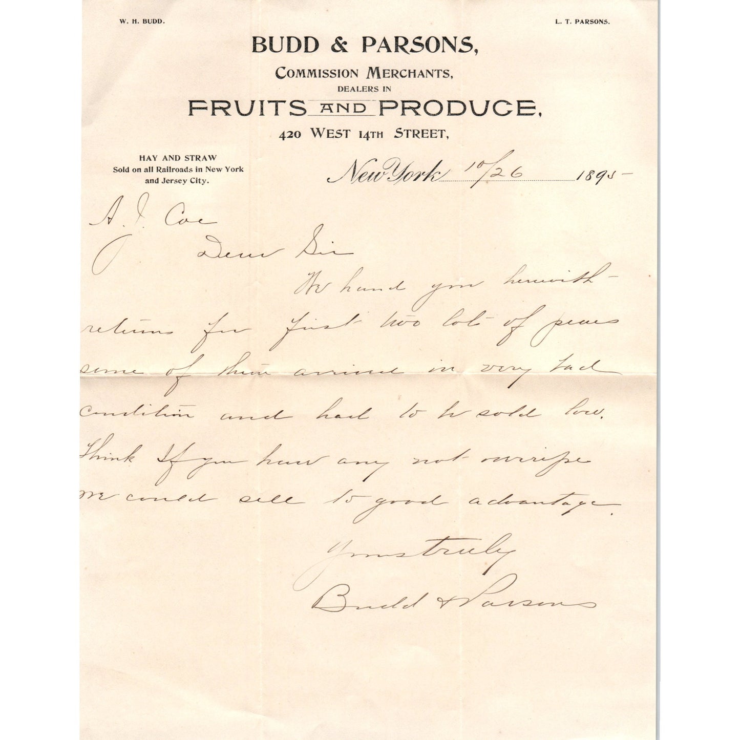 1895 Budd & Parsons Fruits and Produce New York Receipt Letterhead D24