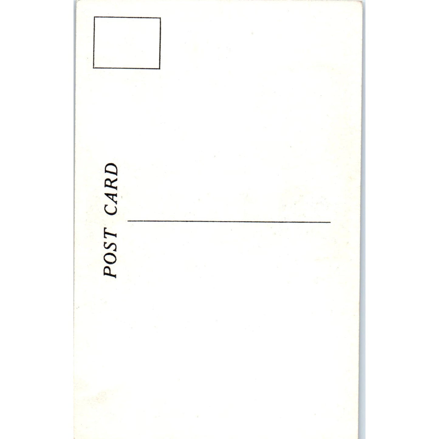 Dresden Room Home of Franklin D. Roosevelt Ruth Perkins Safford Vtg Postcard PD3