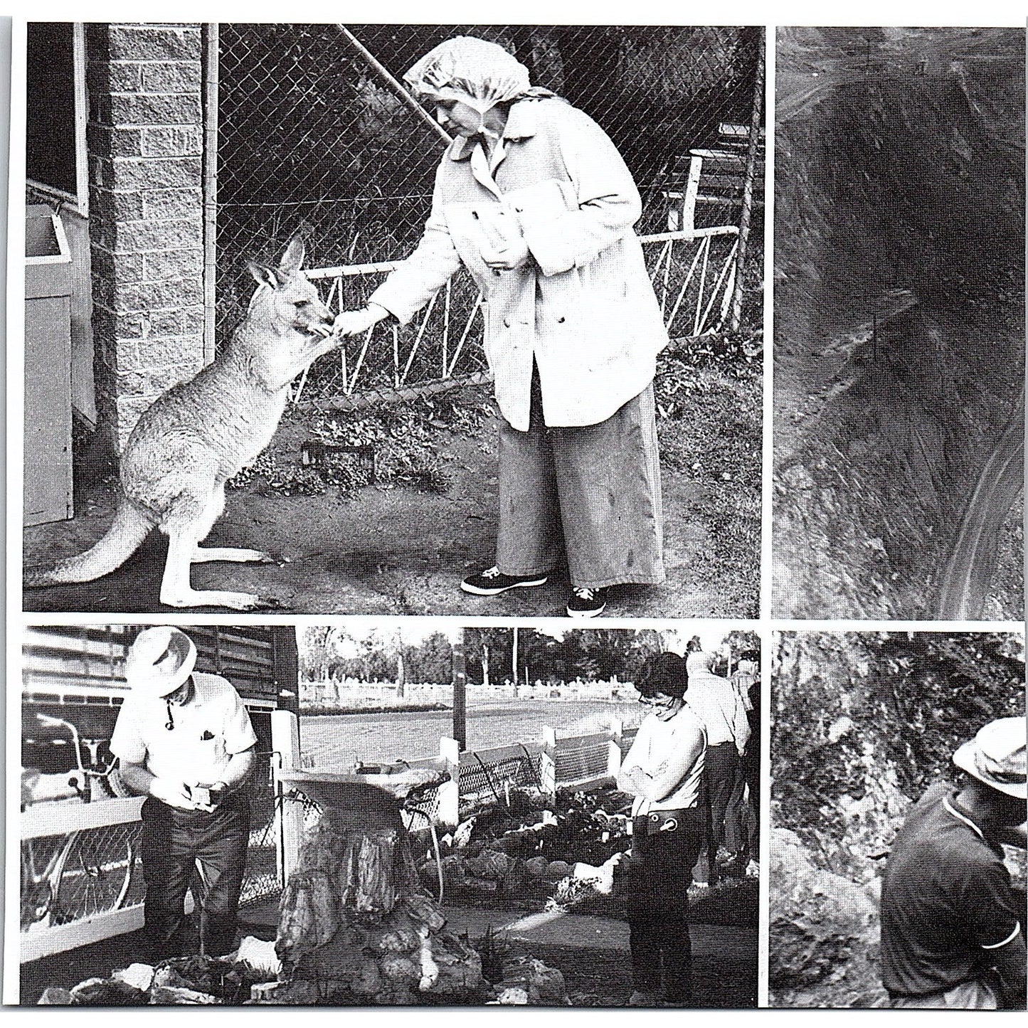 Ace Lapidary Supply Van Nuys California 1972 Ad AF8-H2