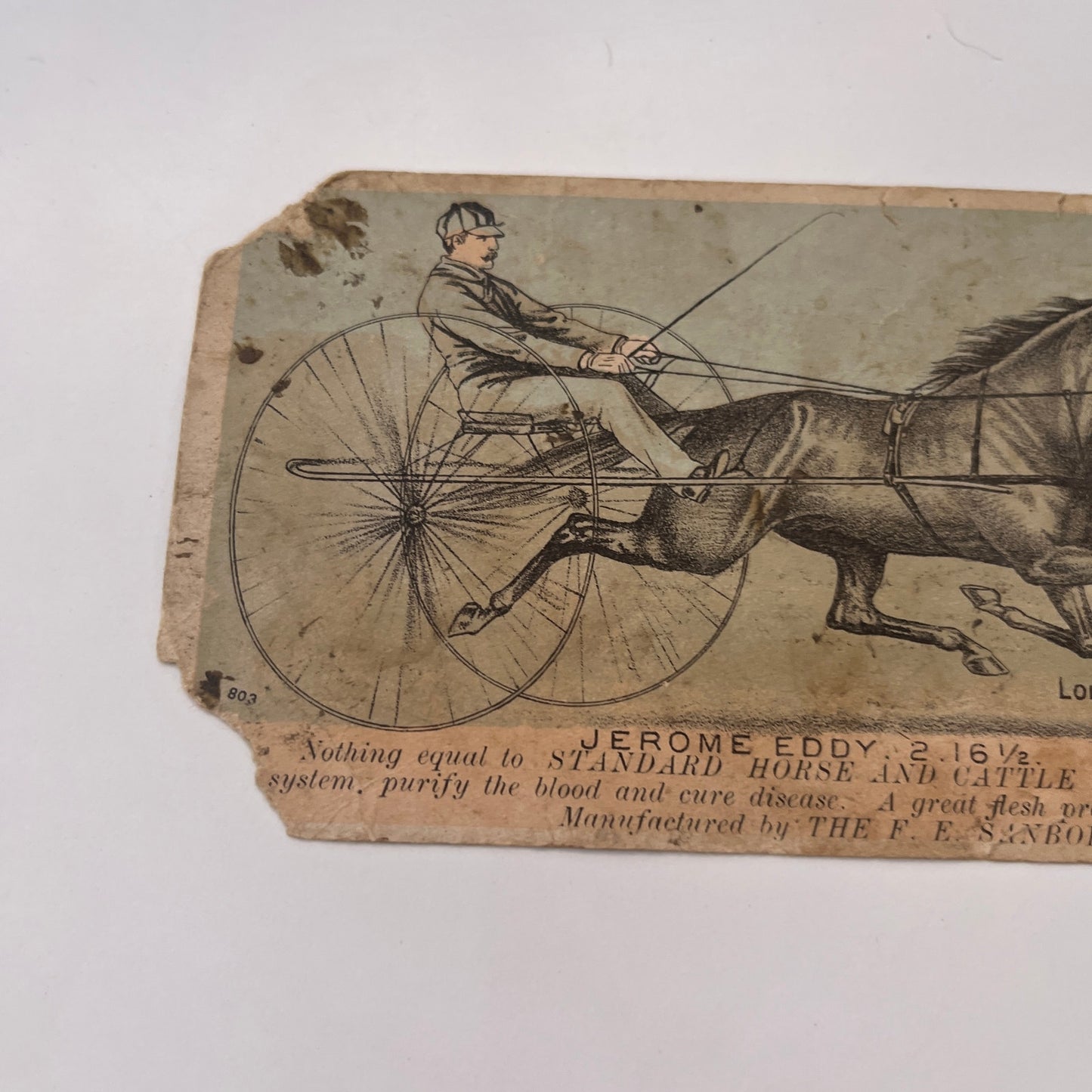 Jerome Eddy Horse Food Oldham and Colvin Falmouth 1880s Trade Card AG8-H4