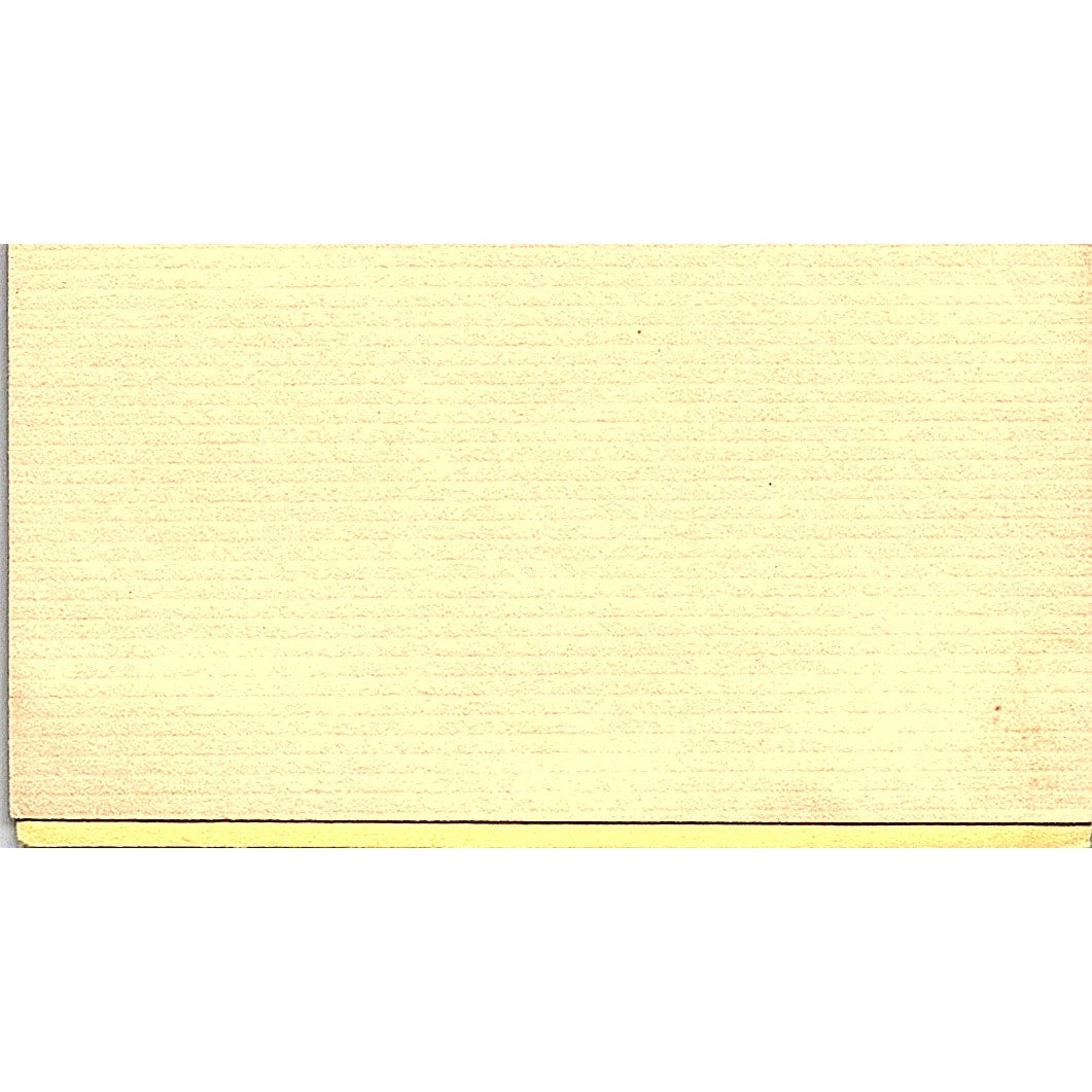 Chris Kale Buddy Bi-Rite Tampa FL Vintage Business Card SC9-B7