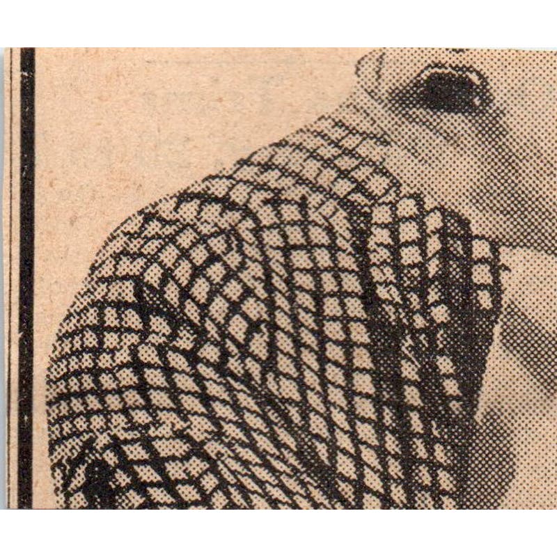 Owatonna vs Pillsbury High School Football City Championship 1935 Article AE7-N6
