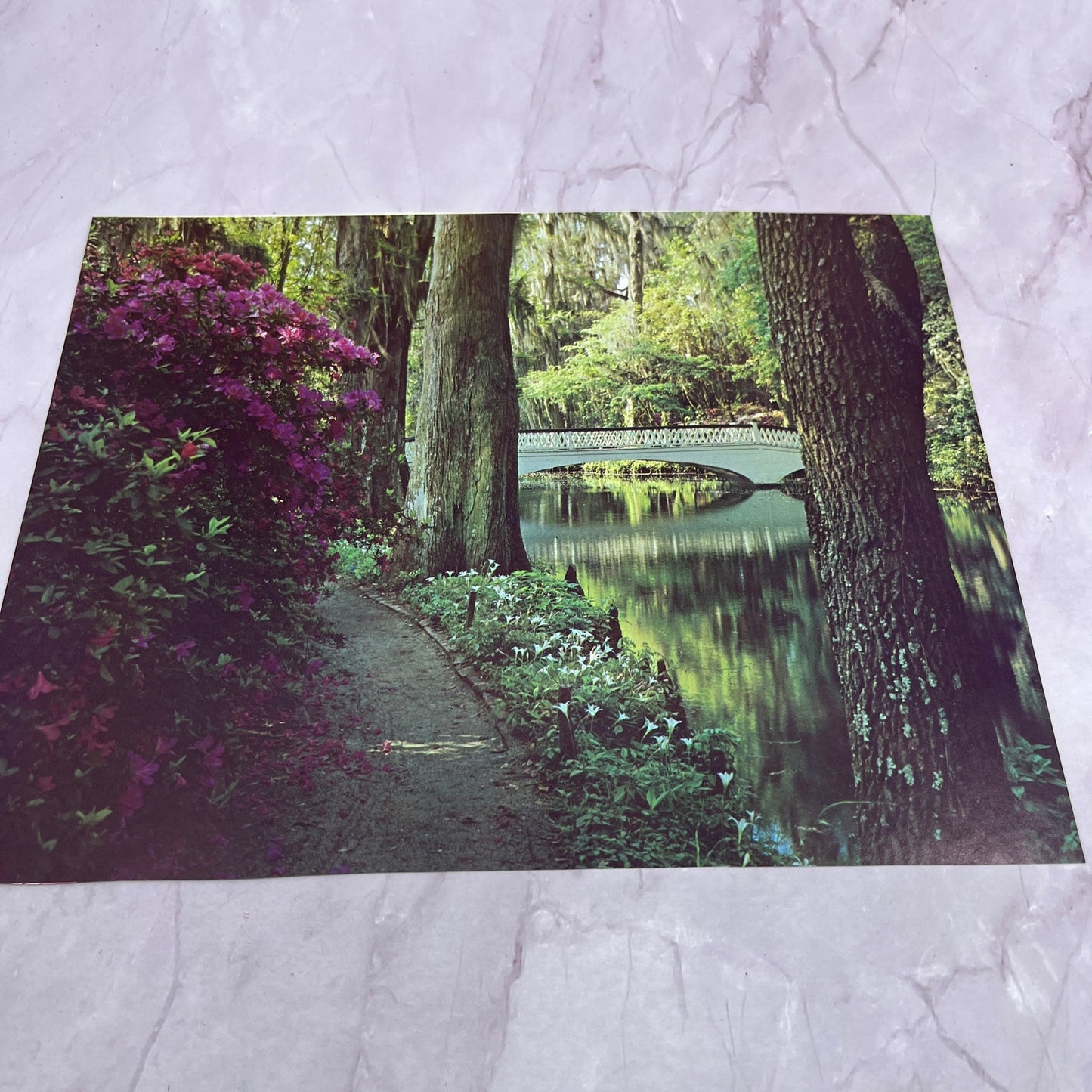 Retro Kitsch Magnolia Plantation and Gardens Charleston SC 8x10" Art Print V20