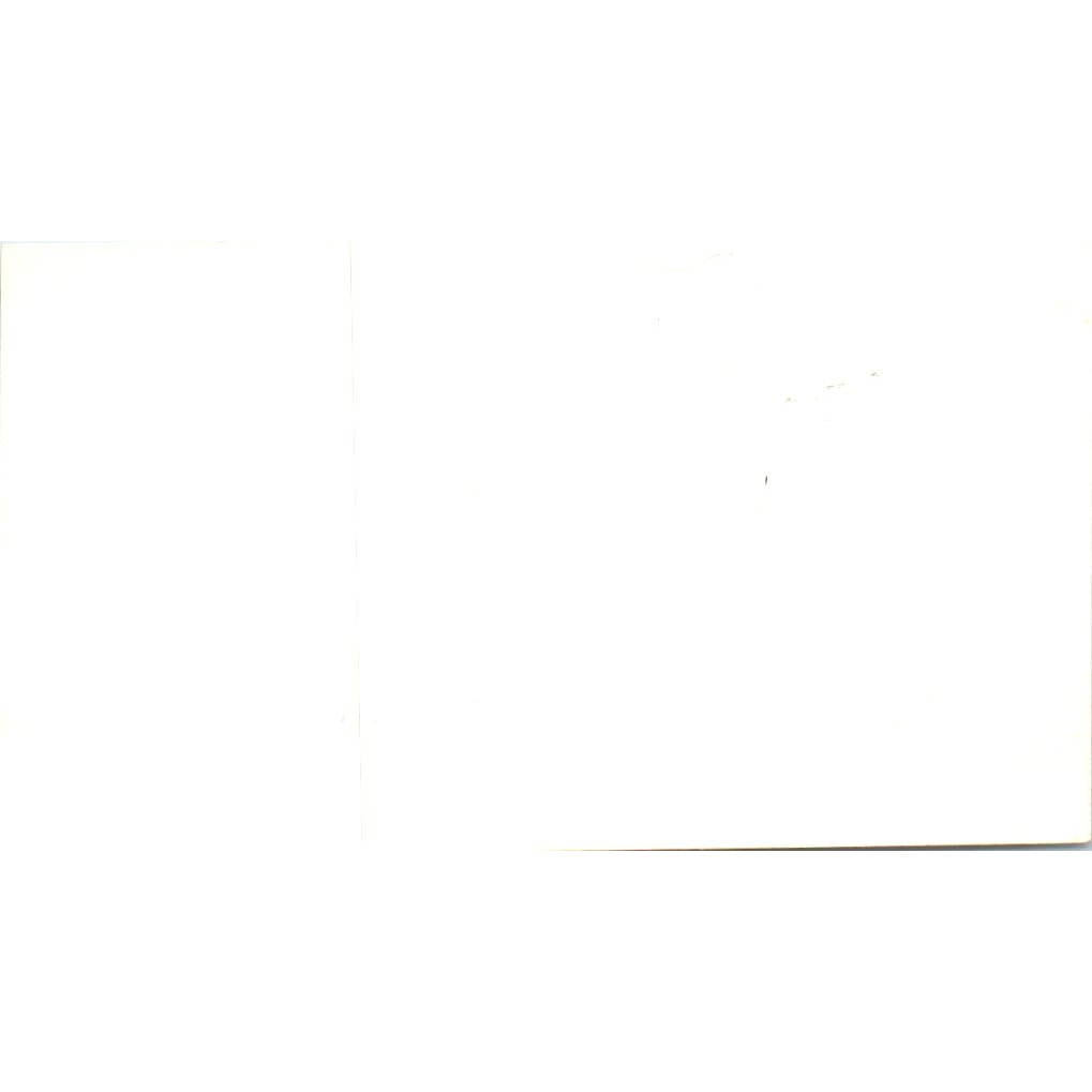 Rayco Pet Supplies Ray & Dorothy Rowbotham Bellflower CA Business Card SD8-B15