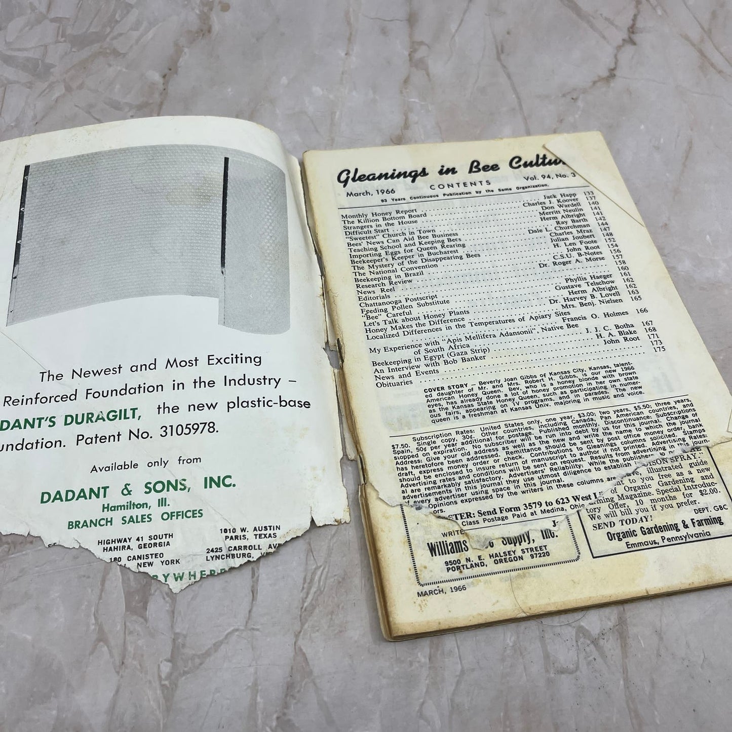 1966 March Gleanings in Bee Culture Magazine Bees Beekeeping Honey TD7