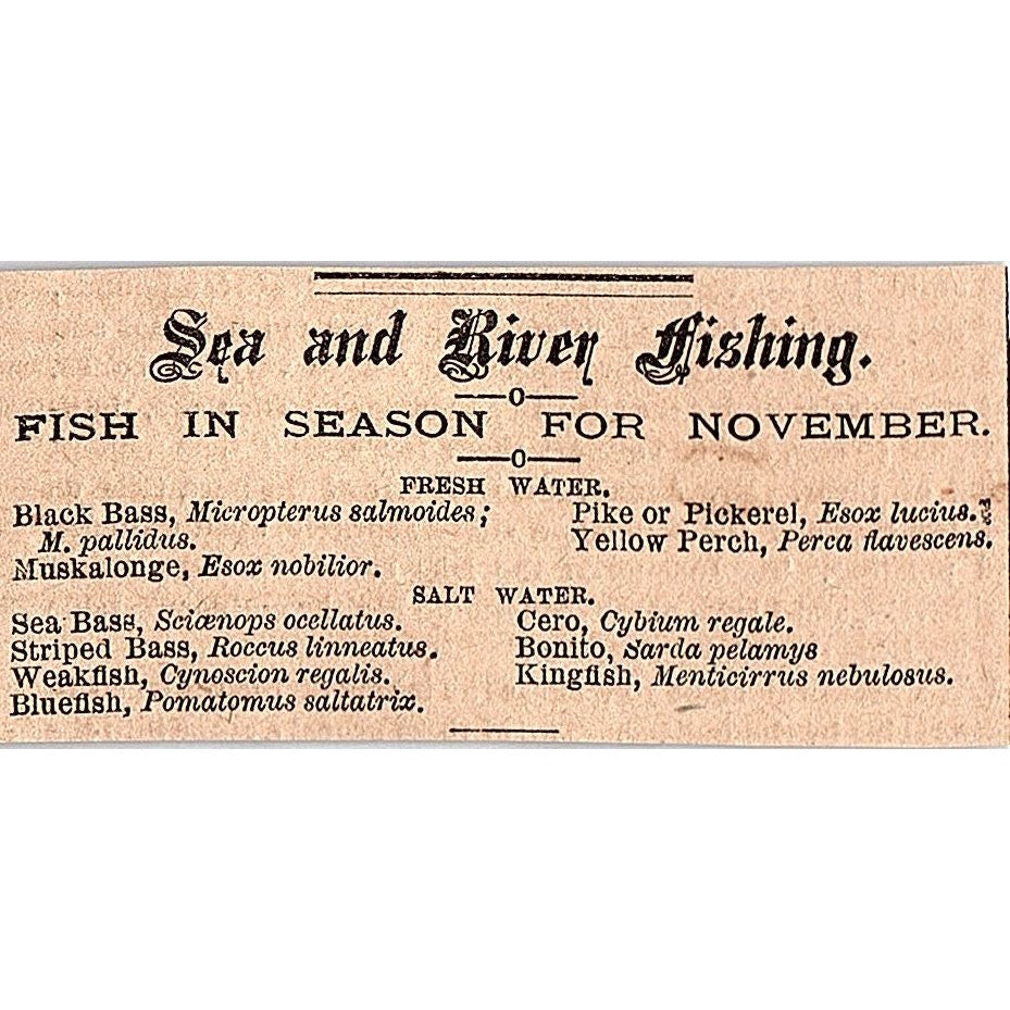 Sea & River Fishing - Fish in Season for November 1878 Article AG2-S15