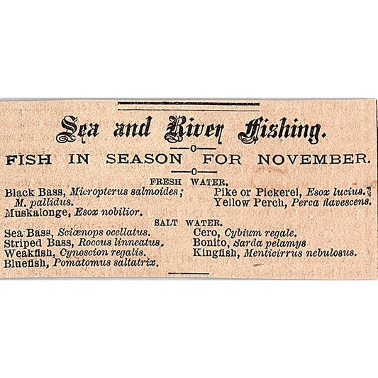 Sea & River Fishing - Fish in Season for November 1878 Article AG2-S15