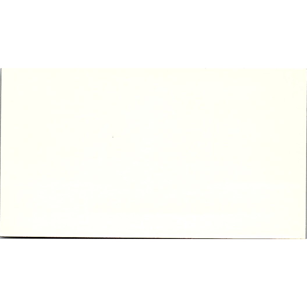 Stefani Theo ComputerCraft Houston TX Vintage Business Card SD9-B2