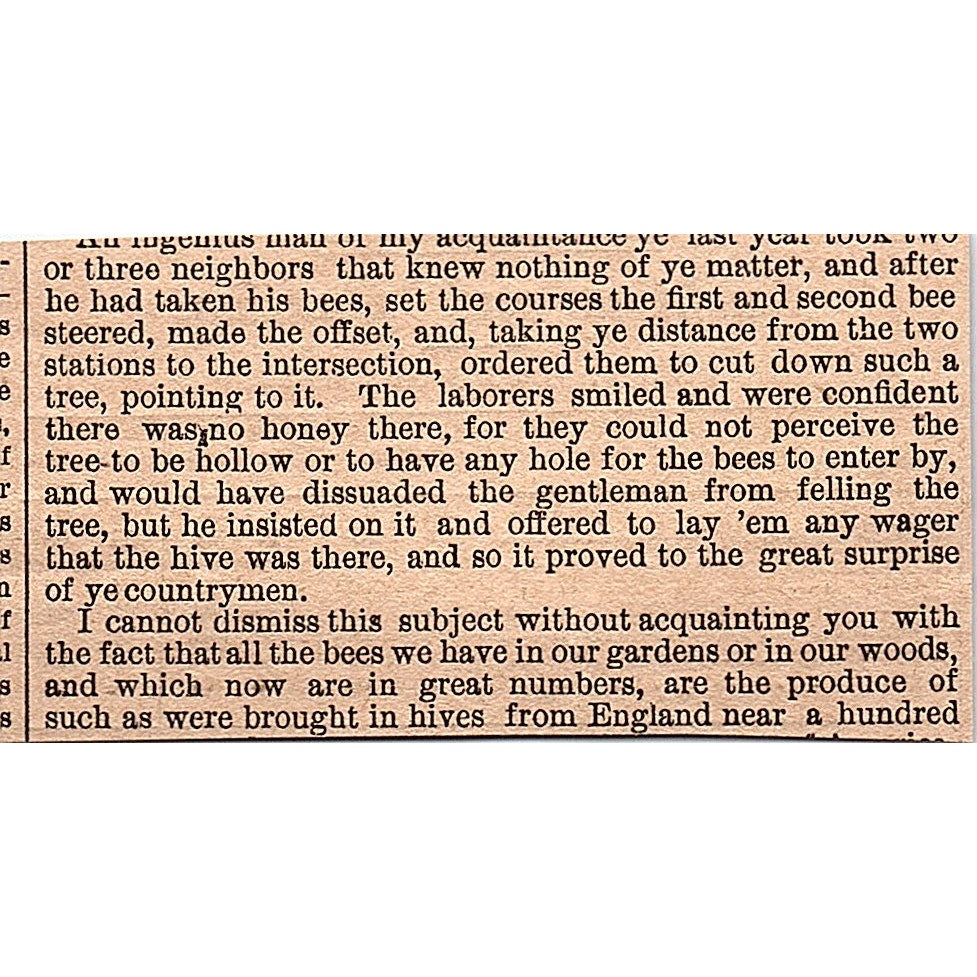 Yachting & Boating High Water for the Week Nov 15, 1878 Article AG2-M8