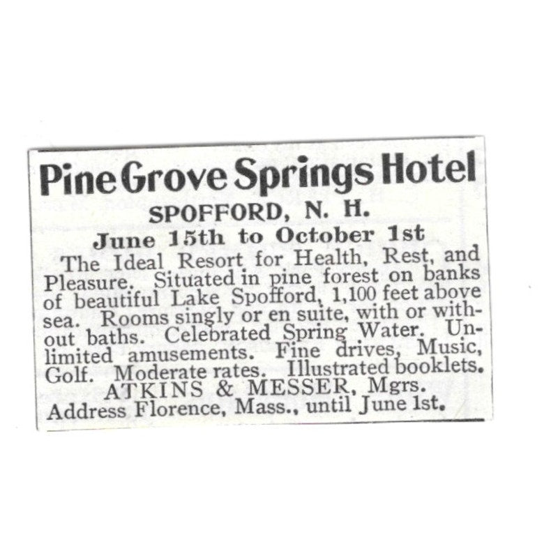 Pine Grove Springs Hotel Spofford NH Atkins & Messer Florence MA 1903 Ad AF8-S35