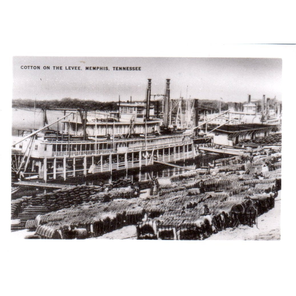Cotton on the Levee Memphis TN Vintage Black and White Photo 2.5x3.5" TH9-SX2