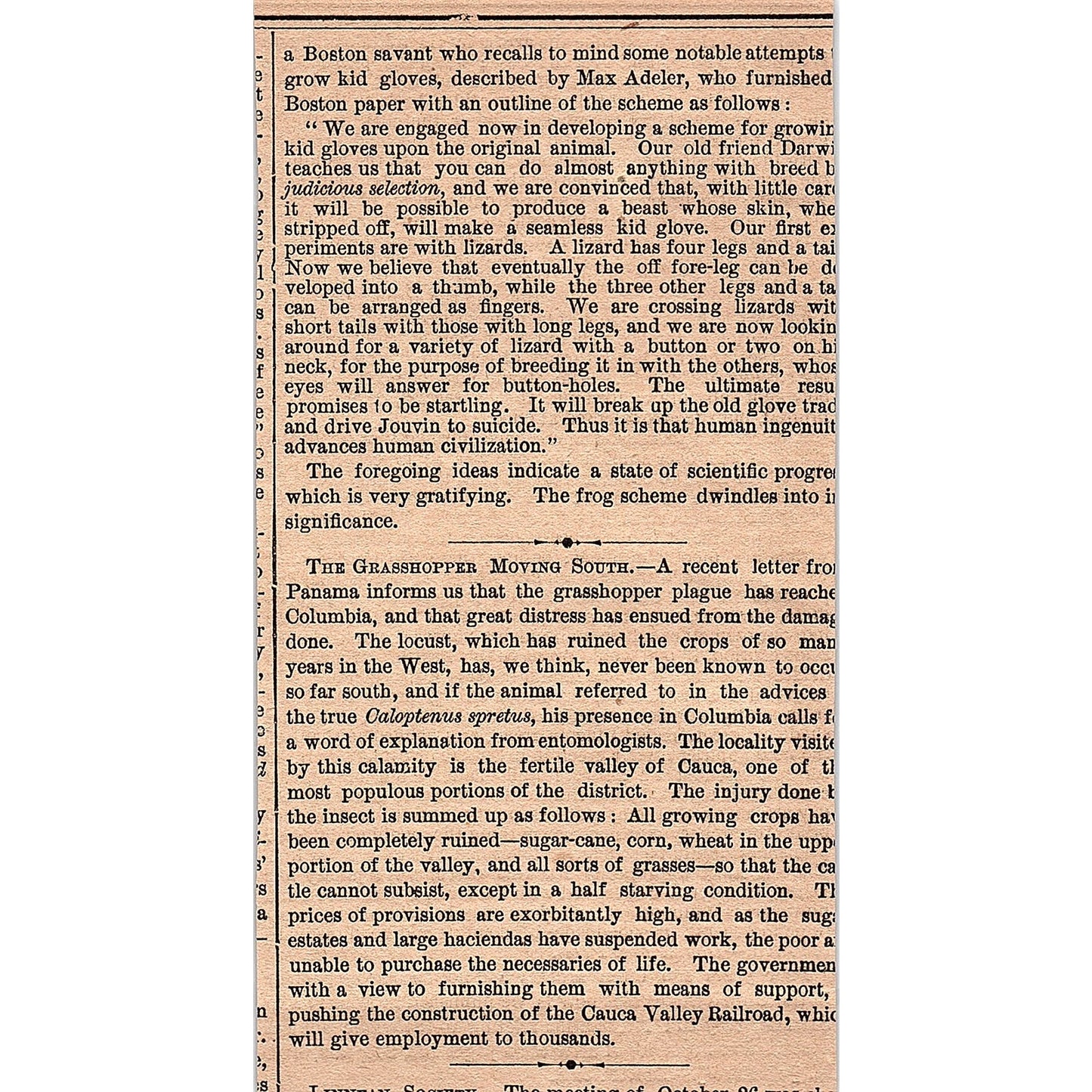 Something About Archery Roger Ascham 3 Pages 1878 Article AG2-7