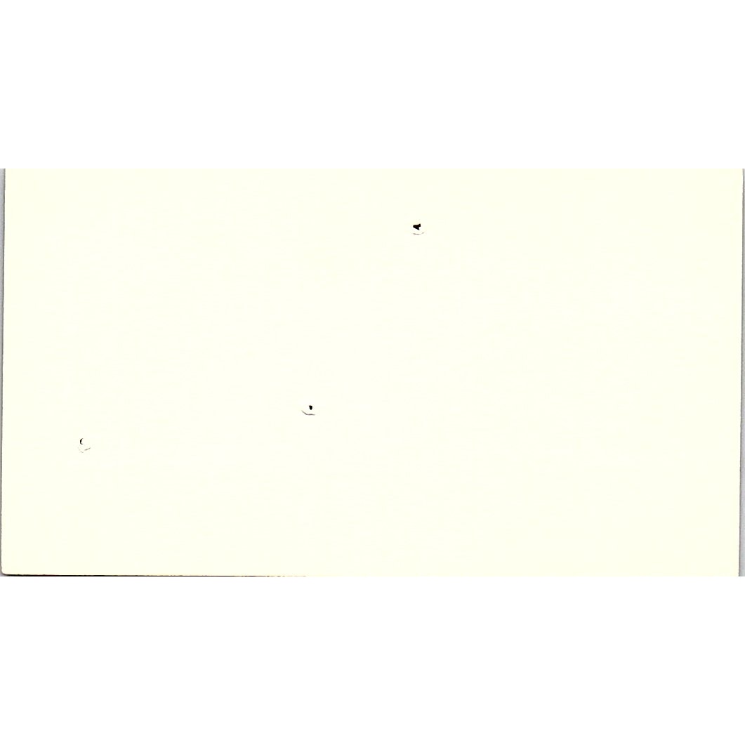 Tim Robertson Ribnick & Associates Inc Houston Vintage Business Card SE3-B16