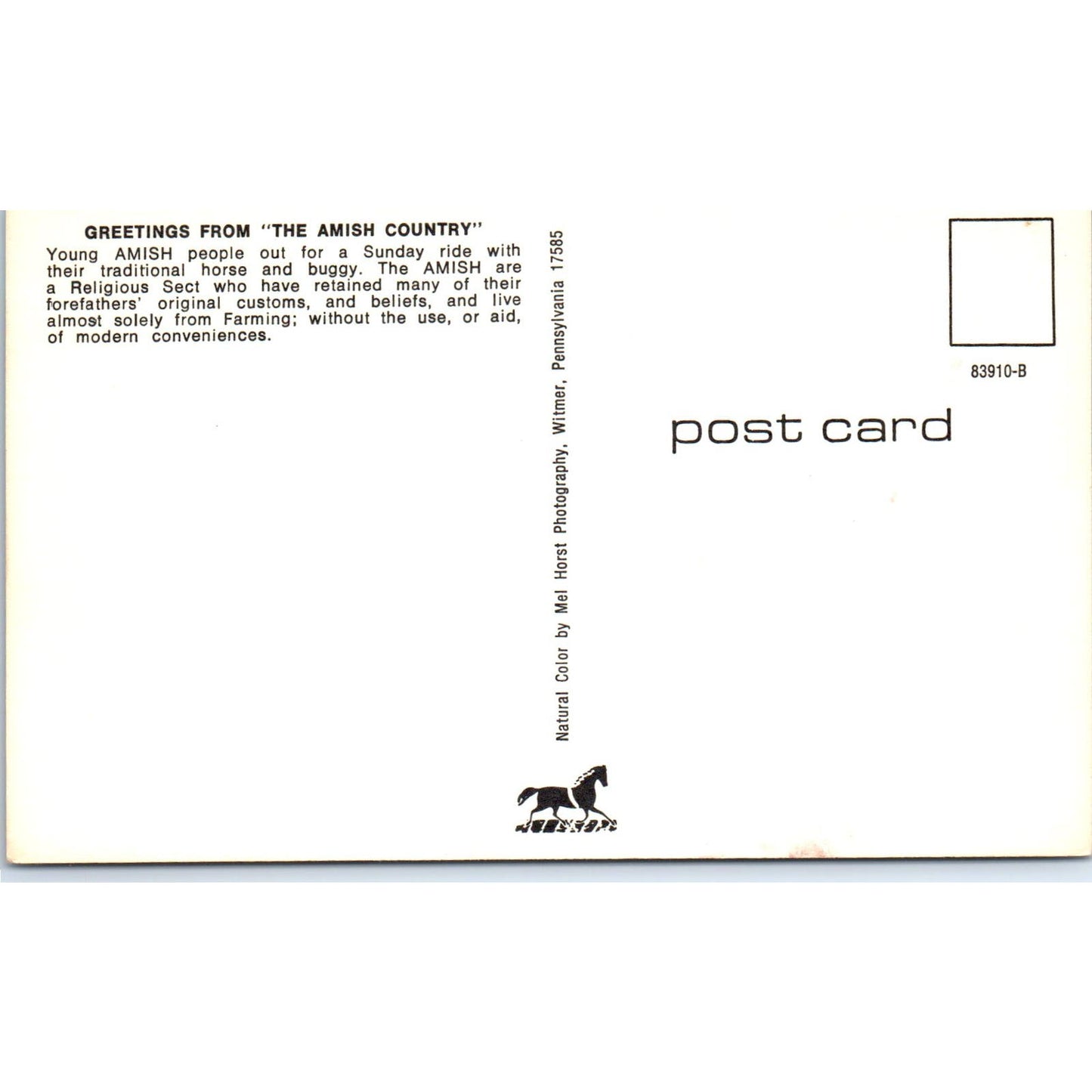 Amish People on Buggy Ride After Church Pennsylvania Dutch Country Postcard PD8