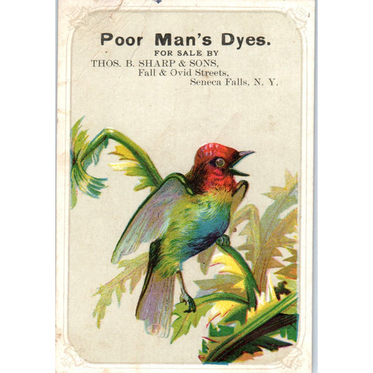Poor Man's Dyes Thos. B. Sharp & Sons Seneca Falls NY c1880 Trade Card AB6-2