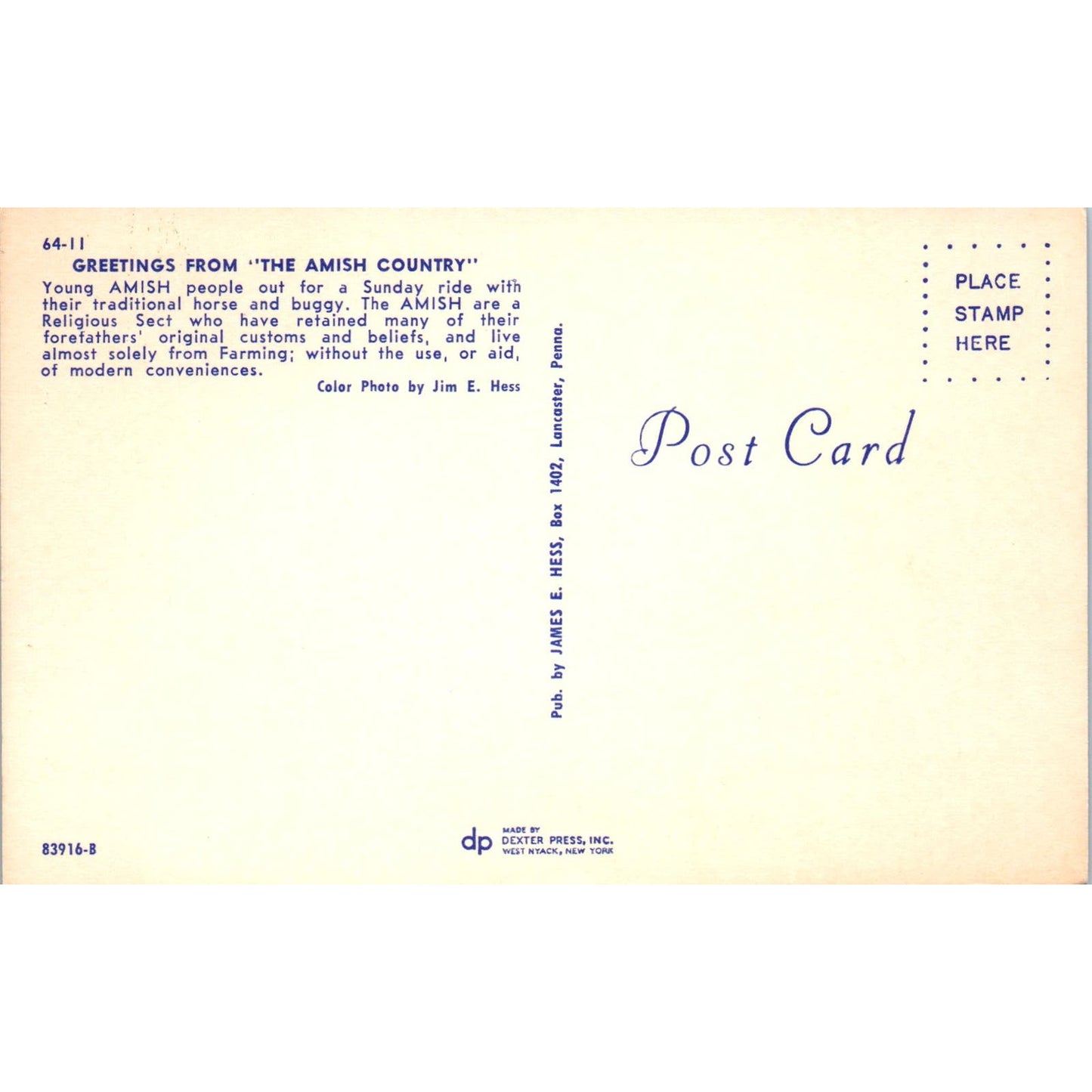 Amish People Out for Sunday Buggy Ride Pennsylvania Dutch Country Postcard PD8