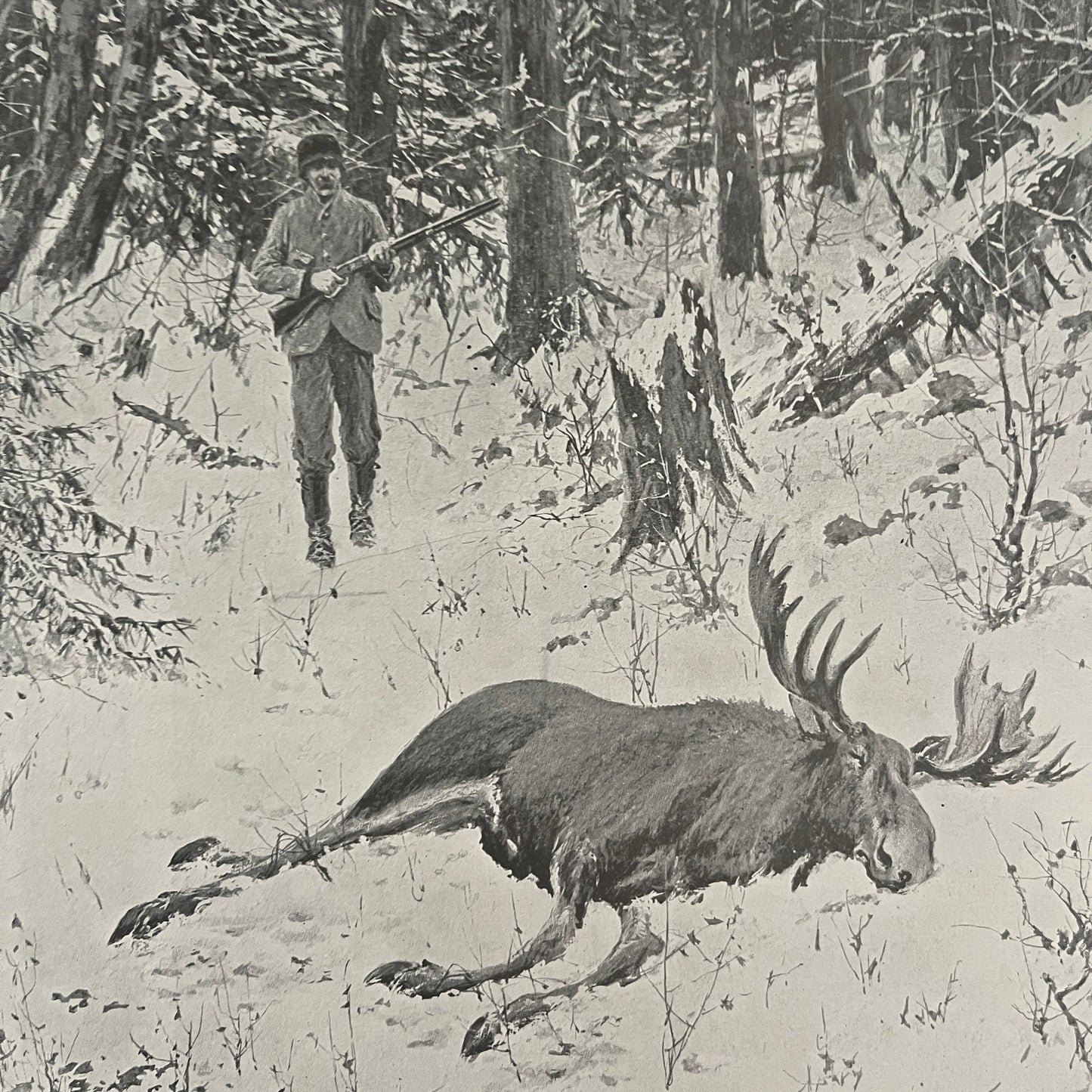 Under Penalty of Law - Moose Hunting - Original 1904 A.B. Frost Art Print V26-4