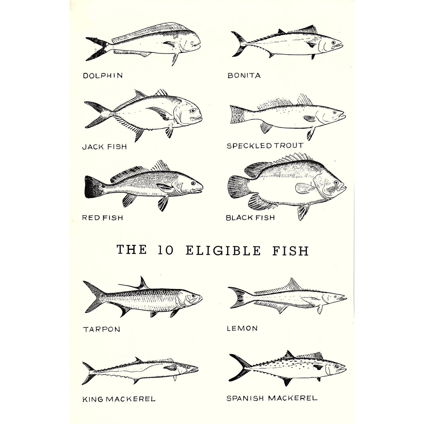 1952 Gulfport Fishing Rodeo Prize Winners 1953 Gulfport MS Clipping AG9-3