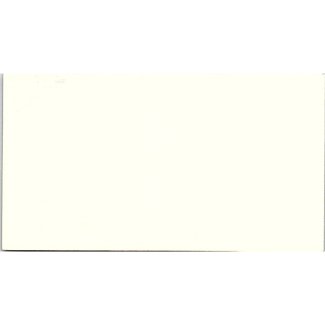 The Executive Consulting Group David L. Gandin Houston TX Business Card SF3-B8