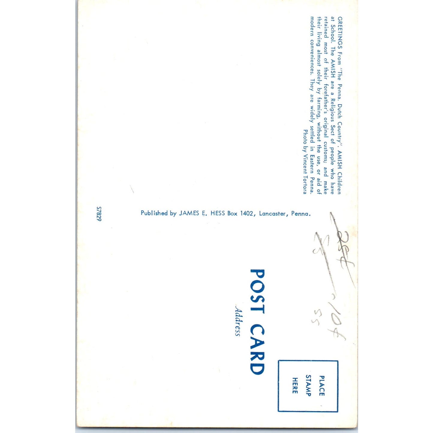 Amish Girls and Boys at School Pennsylvania Dutch Country Postcard PD7