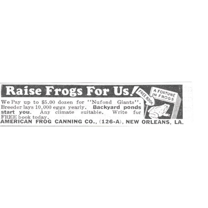 American Frog Canning Co. Raise Frog For Us New Orleans LA 1936 Ad SAG4-S12