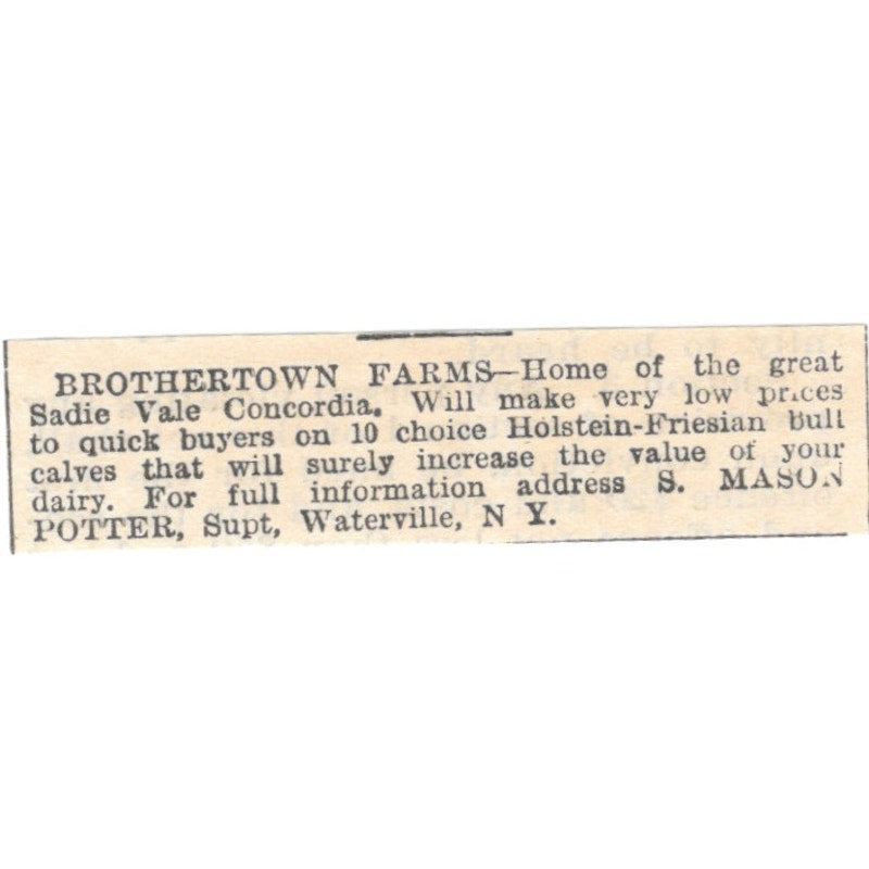 Brothertown Farms Bulls S. Mason Potter Waterville NY 1905 Magazine Ad AF1-NES2